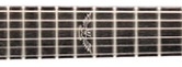 Washburn Parallaxe Guitars - Image of the parallaxe logo on the 12th fret