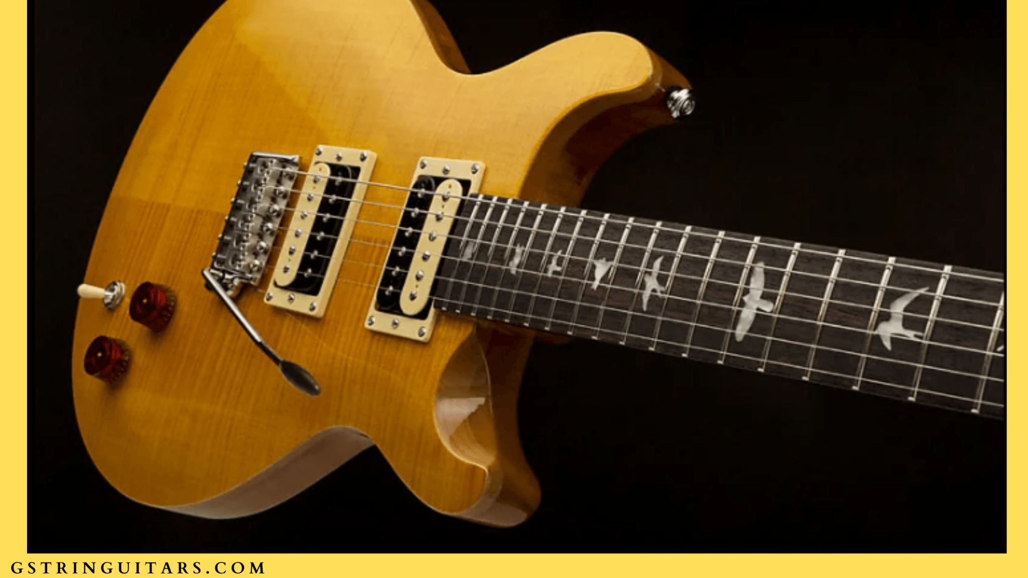 Carlos Santana PRS Guitar - A Look At The SE Santana Model