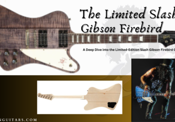 Slash Gibson Firebird-Blog Banner