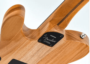 Fender Acoustasonic Telecaster Review-Full image of the neck joint and back section of the guitar