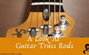 Guitar Truss Rods-The feature image of the headstock of a squired Stratocaster with the truss rod visible