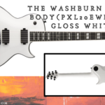 washburn parallaxe-Featrue image of the guitar from the front and back