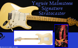 Yngwie Malmsteen Signature Stratocaster - Image of YM and his signature Strat from the front and back