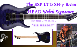 brian head welch signature guitar-Feature Image of Artist playing live and image of full guitar front and back