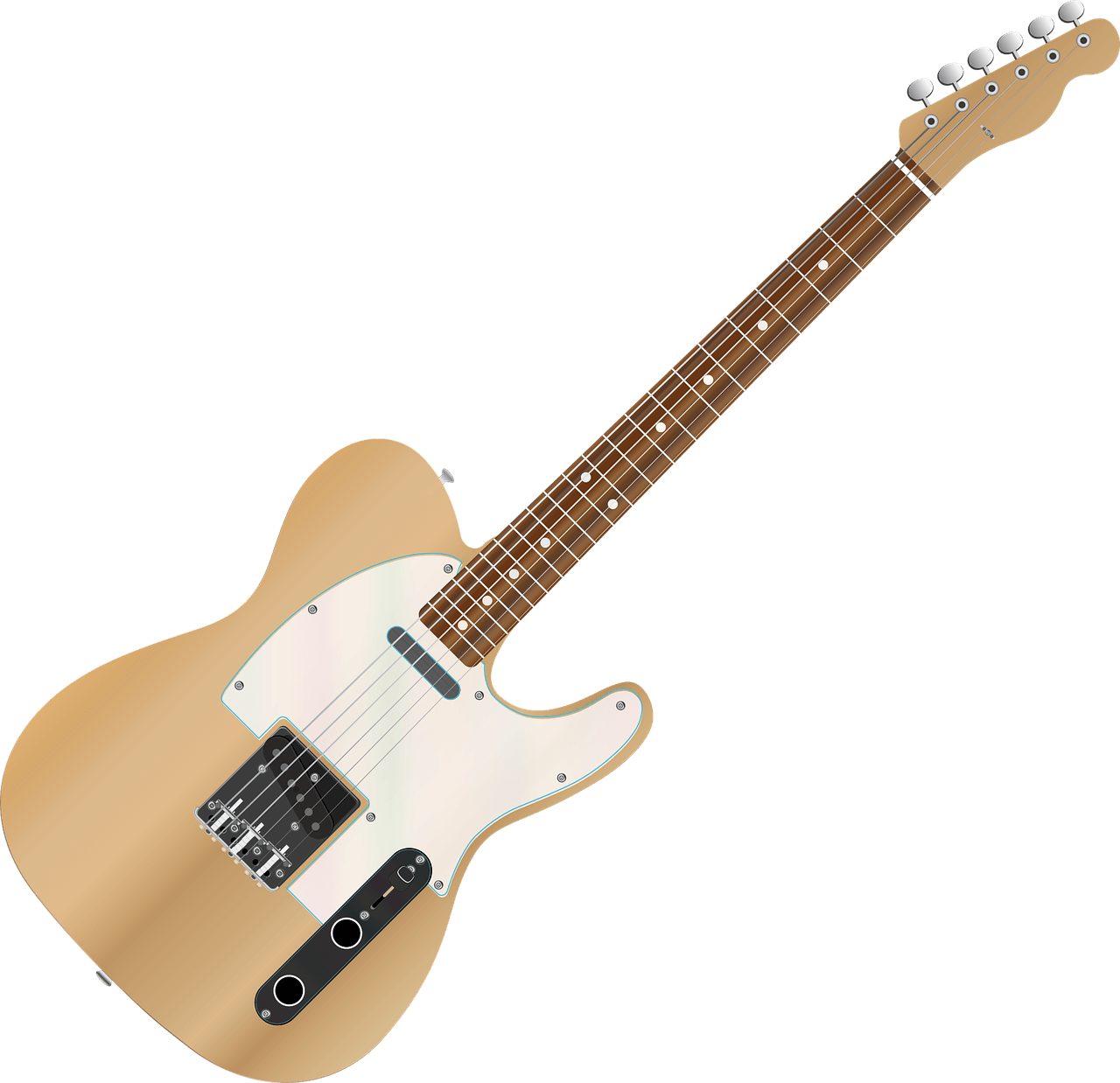 A Look At A 6 String vs 7 String Guitar