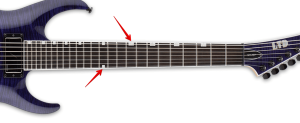Brian Head Welch Signature Guitar-Image of the neck with GITD Position markers 