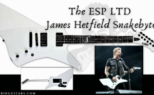 esp ltd james hetfield snakebyte-Blog Banner for Post with front and back of guitar and the Artist singing live in concert