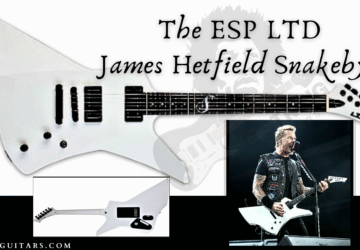 esp ltd james hetfield snakebyte-Blog Banner for Post with front and back of guitar and the Artist singing live in concert