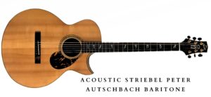 Baritone Electric Guitar - Acoustic Baritone guitar Baritone Electric Guitar - Acoustic Baritone guitar